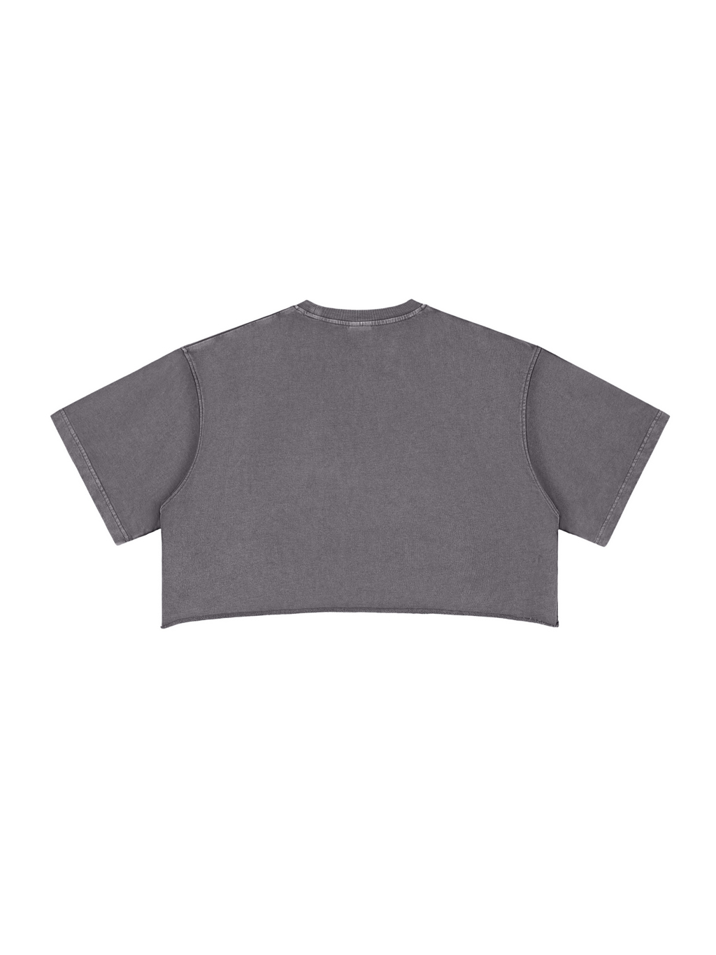 Snow Washed Crop Top – Vintage Streetwear | Tapstitch-2